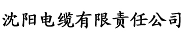 亚洲一区二区三区av在线国产电缆厂logo